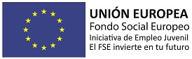 logotifo fse mini juvenil
