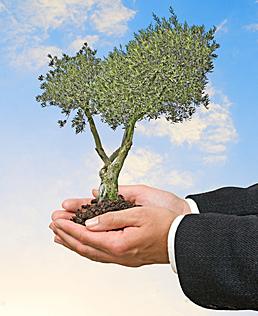 Apoyo al emprendimiento
