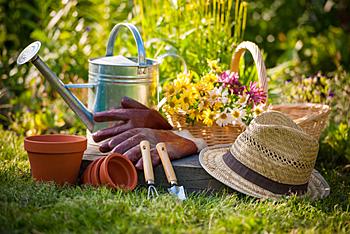 Jóvenes jardineros en un vivero